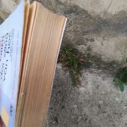 Cách mạng, kháng chiến và đời sống văn học 1945 - 1954 1019195