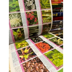 The Source Book : Plant, materials, products & ideas for today's outdoor spaces & where to get them - Jamie Durie 450218