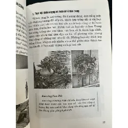 Phong thuỷ vườn tược nhà ở cây xanh trong nhà - KS. Xuân Phú Hưng, Việt Hà