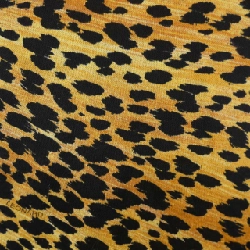 Áo thun thể thao LEONARD SPORT - Hàng hiệu Authentic 828673