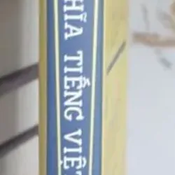Chữ Nghĩa Tiếng Việt và Bản Sắc Ngôn Ngữ Nam Bộ - Huỳnh Công Tín 737003
