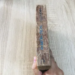 MARTIN IDON ( Tiểu thuyết) 929043