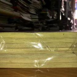 Suỵt - Kim Young Sun 791652