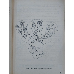 Hỏi đáp về thế giới thực vật - Nguyễn Lân Dũng 1000787