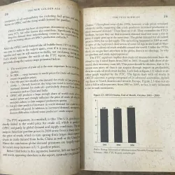 The New Golden Age - Ravi Batra 730853