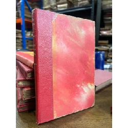 Anh phải sống - Nhất Linh và Khái Hưng