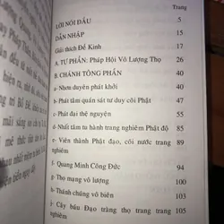 Khai Thị Luận Kinh đại bảo tích pháp hội vô lượng thọ như lai  734446