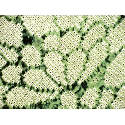 Bộ sản phẩm 羽織 2 món - Hàng hiệu Authentic 876876