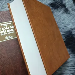 Các loài chim Việt Nam (Lê Mạnh Hùng) 736184