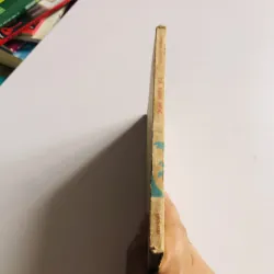 CÁ TÍNH HỌC – Hồng Quang FSC 1971 795533