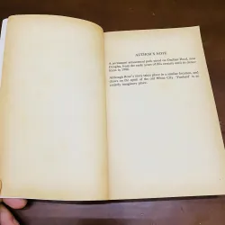 Fairfield rose - Sue Dyson  990595