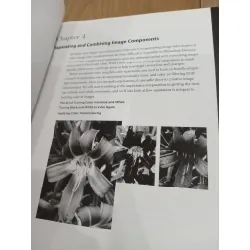 The hidden power of Photoshop elements 4 - Richard Lynch 556860