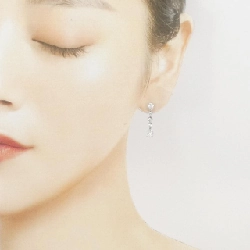 Bông tai Tiffany Drop - Hàng hiệu Authentic 845058