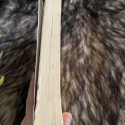 Môn khoa học xã Hội  751465