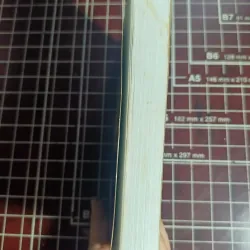 Chỉ tại con chích chòe - Dương Tường 754620