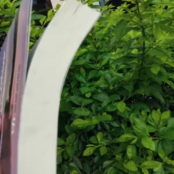 Tự sự giữa đôi dòng - Tuyển tập tác phẩm PGS TS Phạm Tú Châu  997349