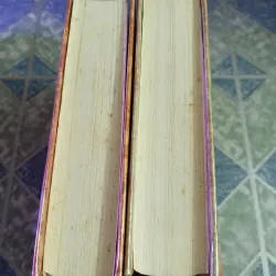 Hồng Lâu Mộng ( 2 tập ) - Tào Tuyết Cần 598353