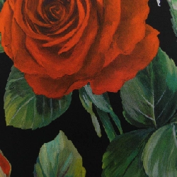 【Khuyến mãi】Đồ lót Dolce & Gabbana DOLCE&GABBANA 650960