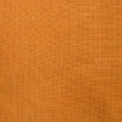 【Mã giảm giá】Áo sơ mi IENA 645994