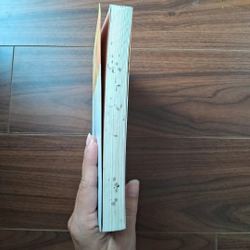 Em chưa từng quên anh 506020