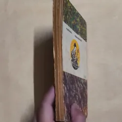 Trong Rừng Trúc - Akutagwa 993835