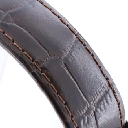 Hamilton Ventura H245150/H24515521 SS tự động - Hàng hiệu Authentic 889037