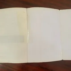Ánh Sáng Thành Phố (Lôi Mễ) 1055199