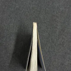 Sống chậm thời @ - Nguyễn Ngọc Tư, Lê Thiếu Nhơn 925877