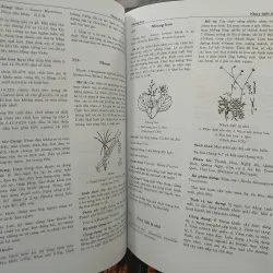 TỪ ĐIỂN CÂY THUỐC VIỆT NAM - VÕ VĂN CHI 455989