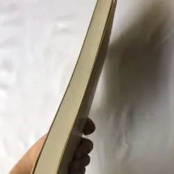 Thằng Nhóc - Alphonse Daudet 730999