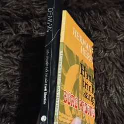 Combo Herman Hesse 996749