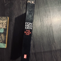 Combo 2 tác phẩm Edgar Allan Poe 447137