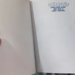 Động vật: Sống dưới nước, bò sát và côn trùng - An Khánh 1018832