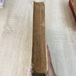 ALGÈBRE – Livre du Maître 971146