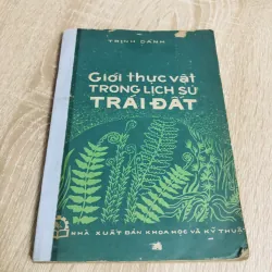 GIỚI THỰC VẬT TRONG LỊCH SỬ TRÁI ĐẤT 956903