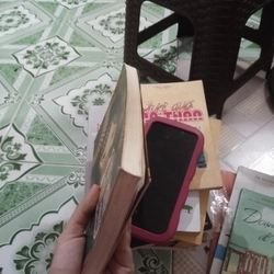 Phấn hoa lầu xanh 552478