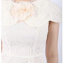 Đầm công sở vải ren  551427