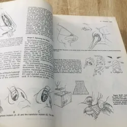 PLASTIC SURGERY – Volume 3: The Face (Part 2) 935091