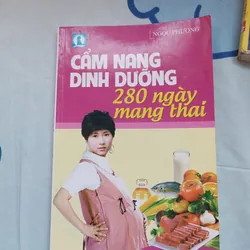 Cẩm nang dinh dưỡng 280 ngày mang thai - NXB Phụ nữ 593771
