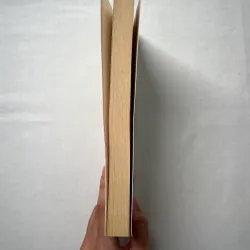 The Sun Also Rises - Ernest Hemingway 1028837