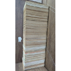 Truyện Animorphs Người Hóa Thú - Trọn Bộ 70 Tập