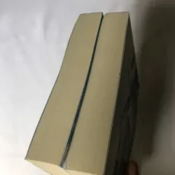 Trọn bộ 2 tập Đánh Cắp Trái Tim Anh - Dung Quang 731141