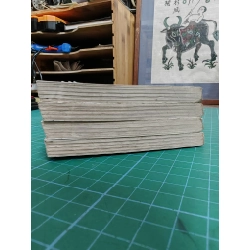 Truyện tranh chàng trai kỳ bí 465566