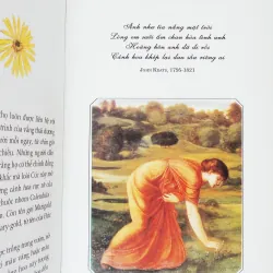 Ngôn ngữ loài hoa 11505