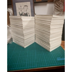 TRUYỆN TRANH DORAEMON TRUYỆN NGẮN BẢN NGƯỢC 299387