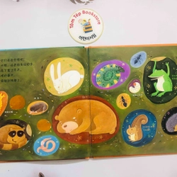 Picturebook bìa cứng tiếng Trung- chủ đề tự nhiên 466257
