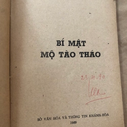 Bí mật mộ Tào Tháo Hồng Lĩnh Sơn 317309