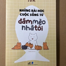 Những Bài Học Cuộc Sống Từ Đám Mèo Nhà Tôi