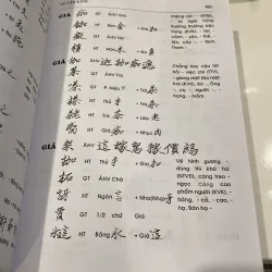 ĐẠI TỪ ĐIỂN CHỮ NÔM, bản bìa cứng (xb 2014) 990962
