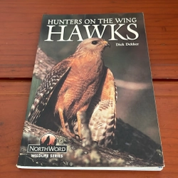 PICTURE BOOK Hunters on the wing Hawks